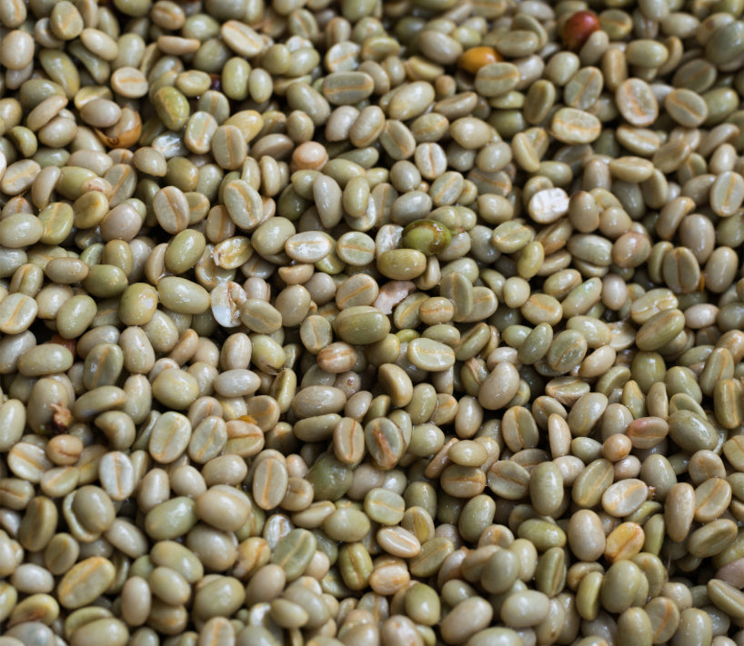Natural vs. Washed Process Top Coffee Delivered: A Flavor Face-Off