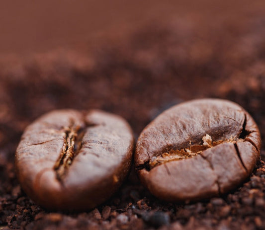 Best Coffee Grinder For Specialty Coffee