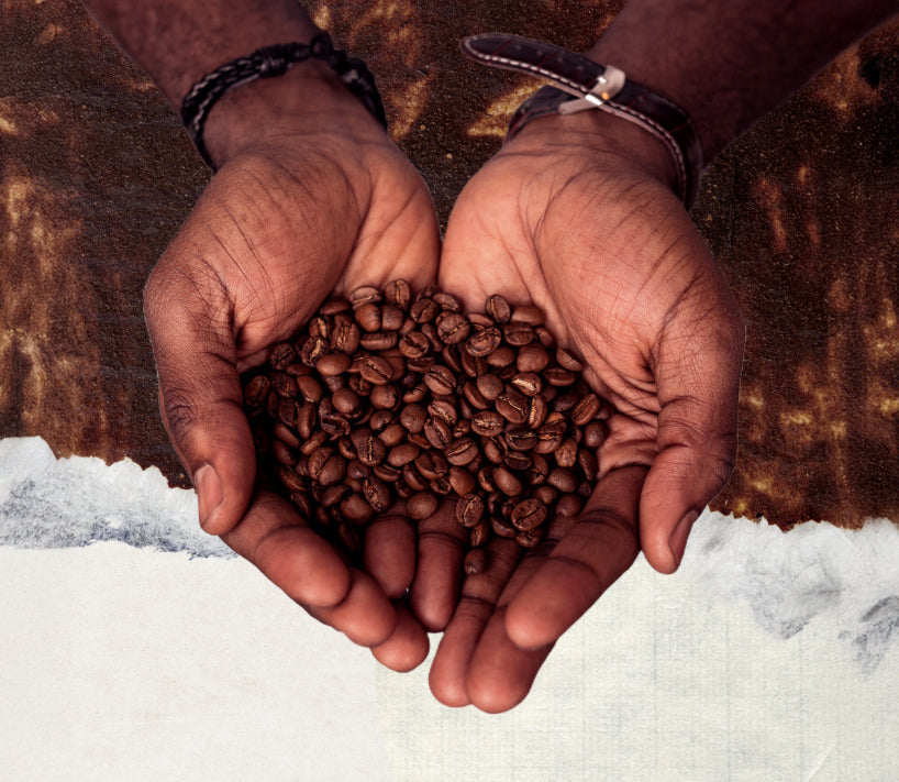 Why Some of the Best Coffee to Buy Online is Bitter Sometimes