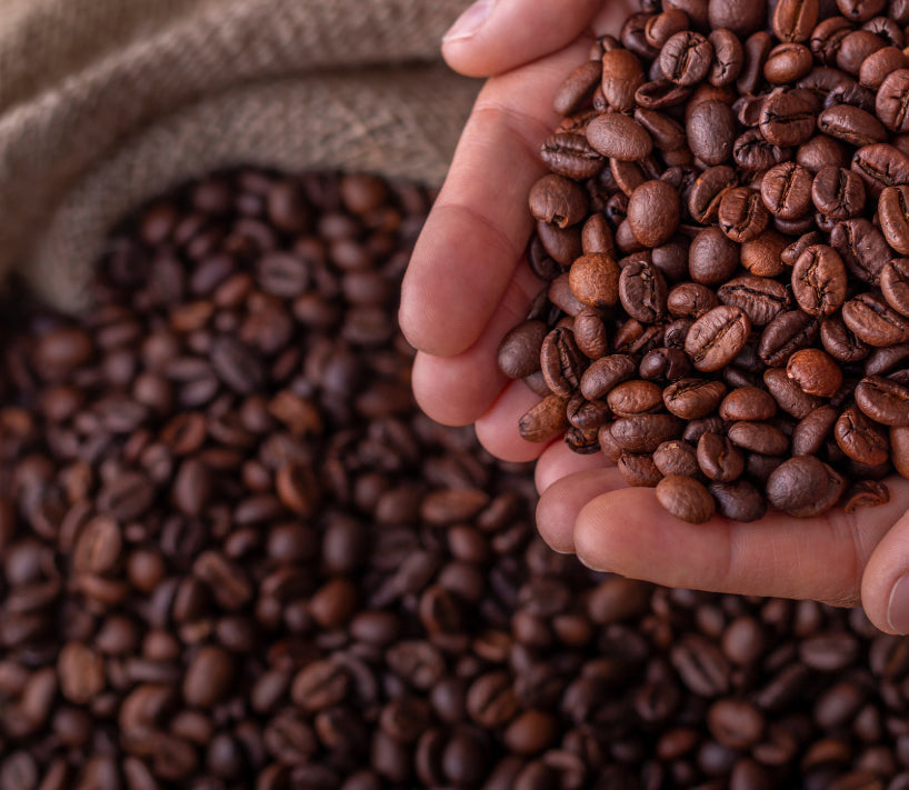 best coffee to buy online