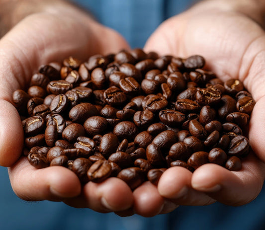 best coffee to buy online guatemalan