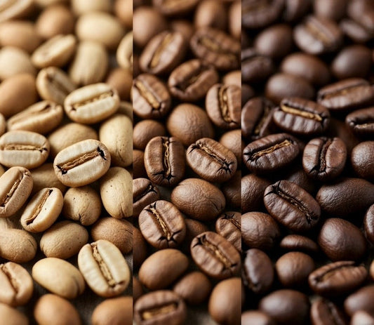 Light Roast vs Medium Roast vs Dark Roast Coffee