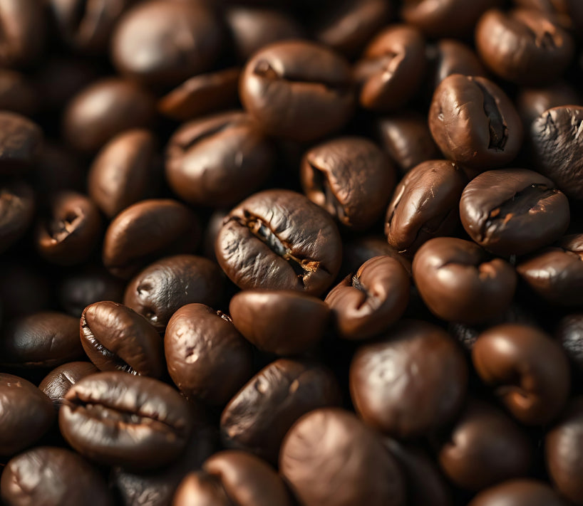 top specialty coffee online