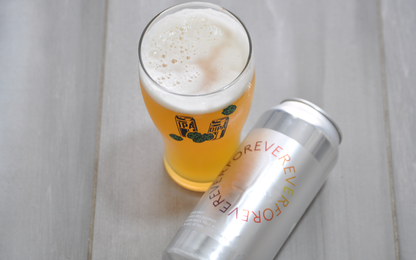 Best IPA Glasses, Best Craft Beer Glasses, and Best Glass For IPA Beer