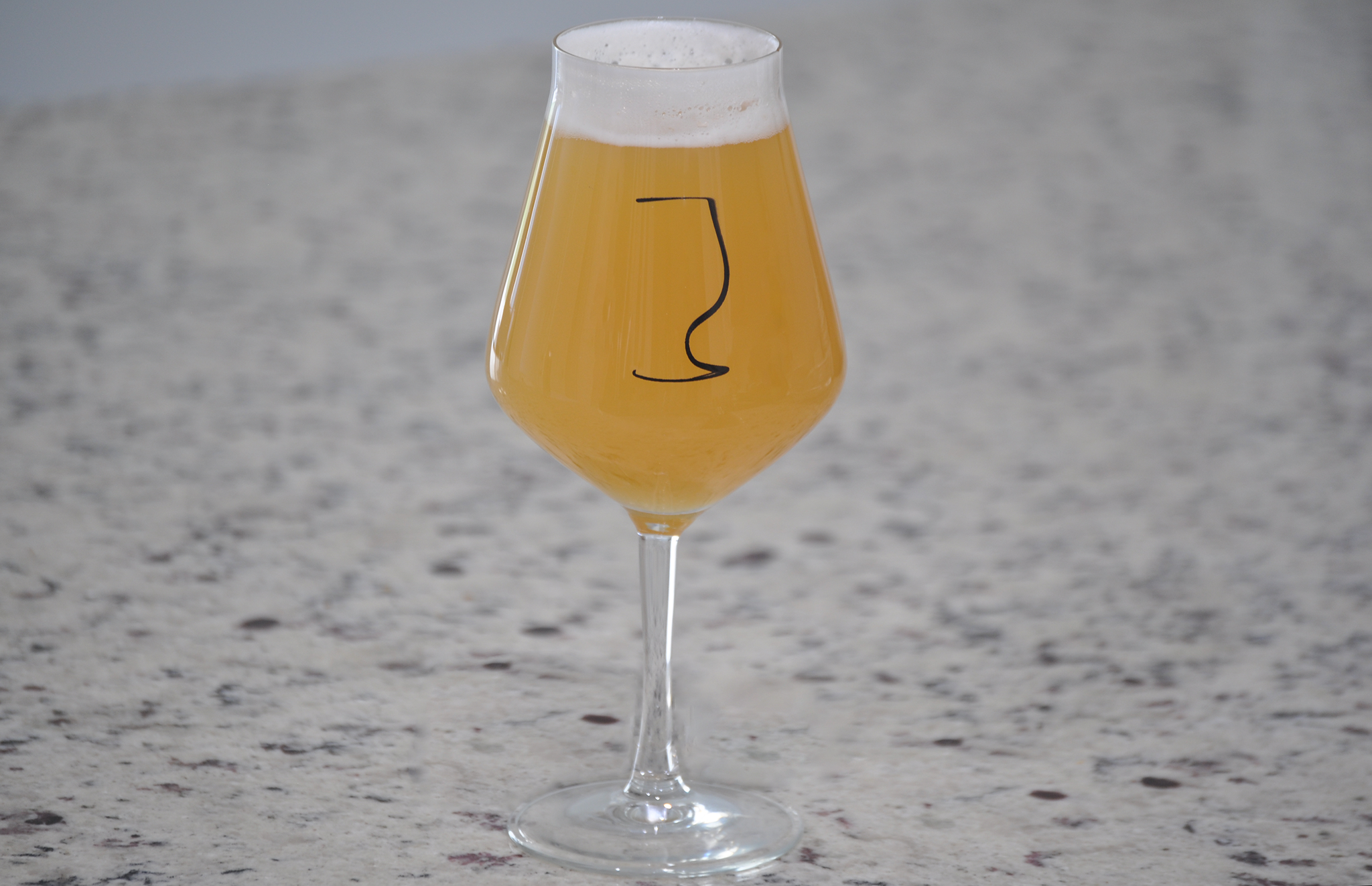 Best Hazy IPA Glass, Best IPA Beer Glassware, and Best Glass For IPA beer