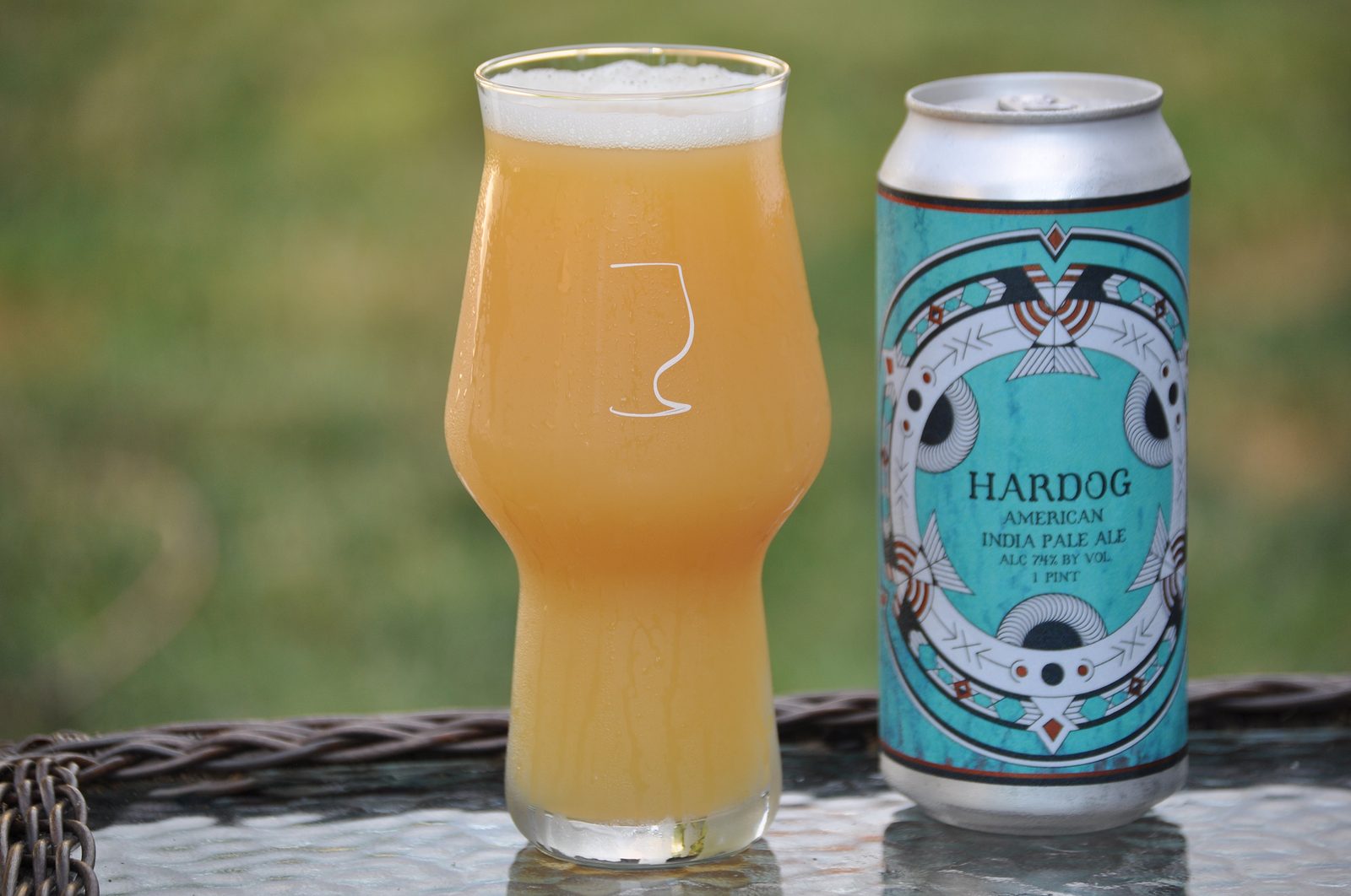 Best Glass For IPA Beer and Best Glassware For Craft Beer