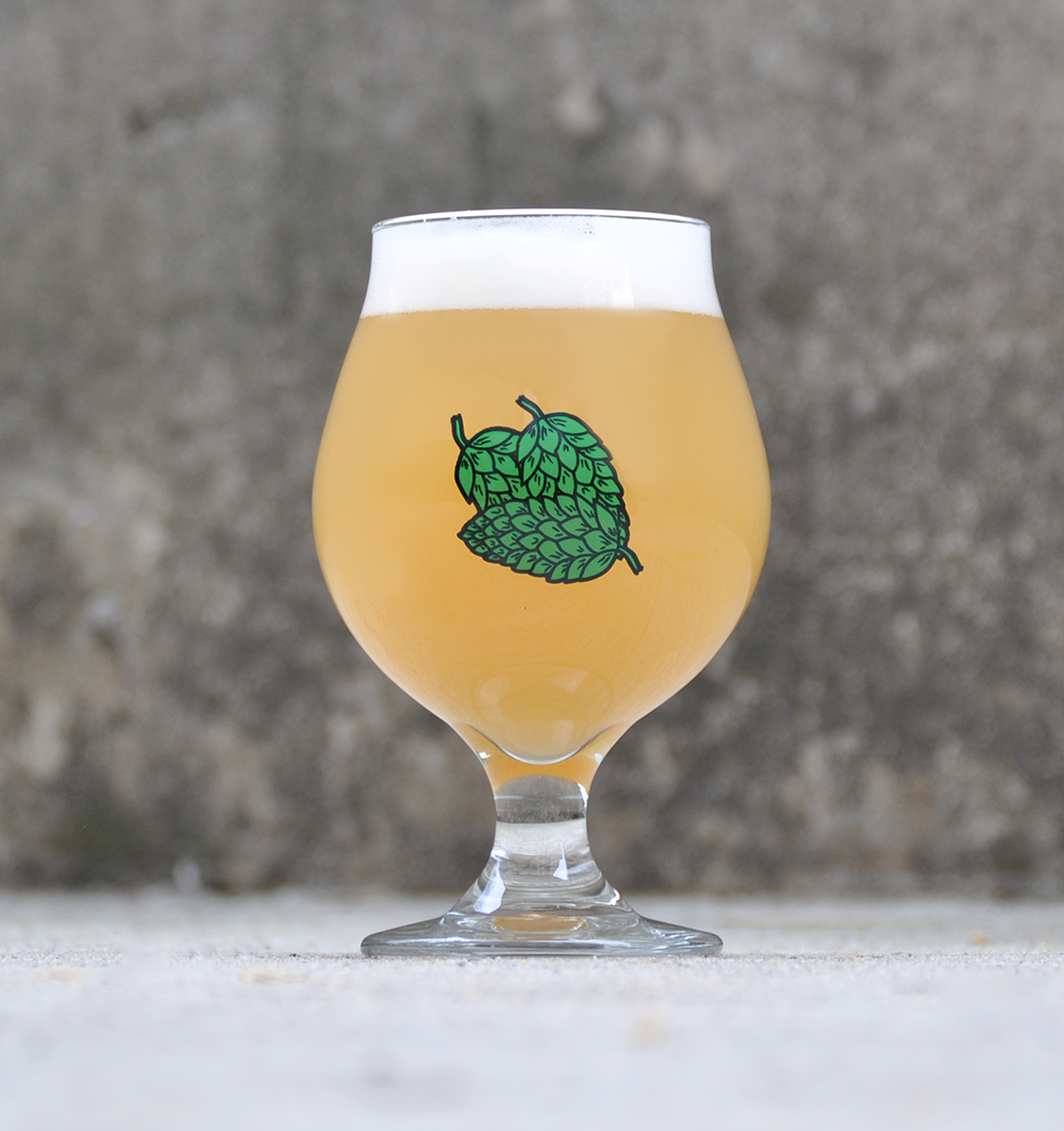 Best Glassware For Craft Beer and Best IPA Beer Glass